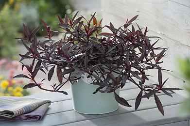 风评回暖！《四海兄弟：故乡》登上Steam全球热销榜前三